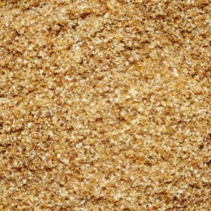 Cumin épices olyo